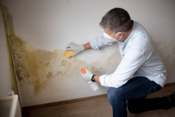 Best Airborne Mold Testing  in Lagunitas Forest Knolls, CA