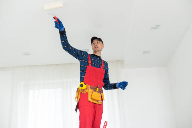Mold Odor Removal Services in Lagunitas Forest Knolls, CA